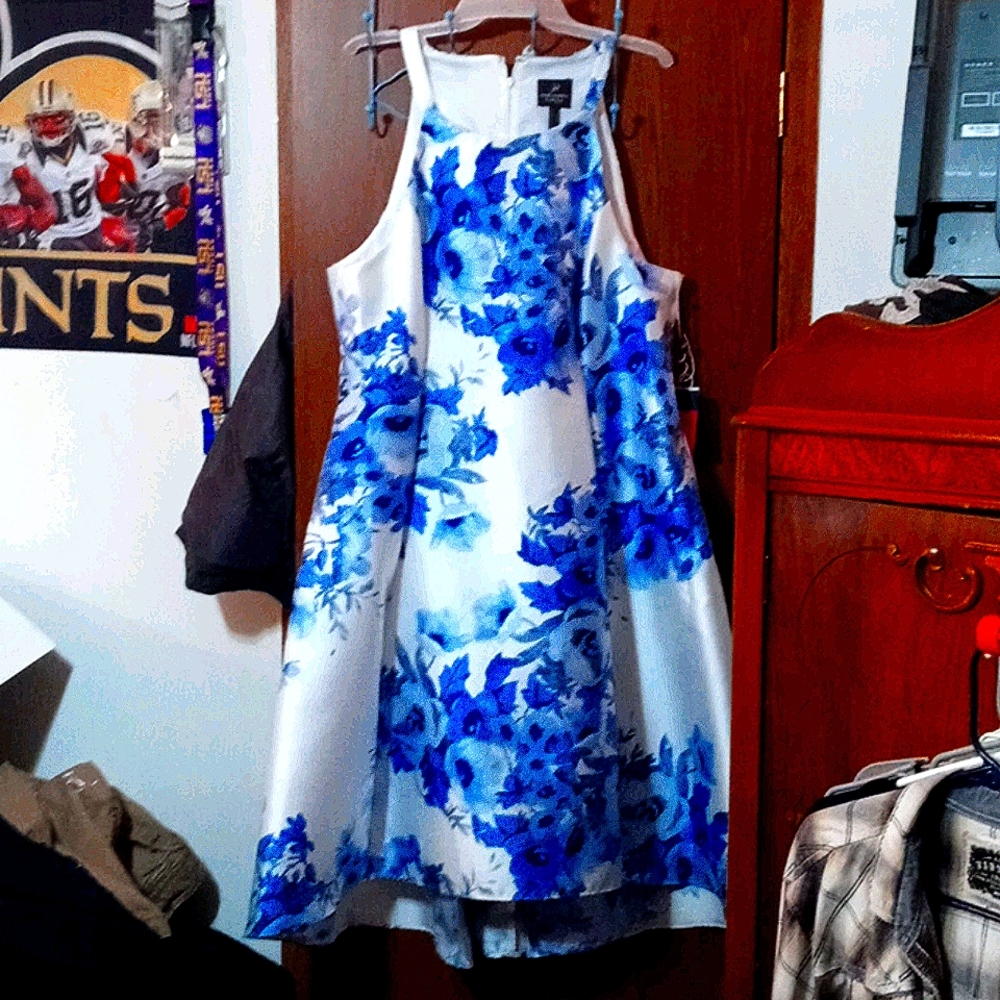 Adrianna Papell Multi color floral dress